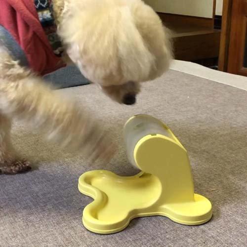 ドギーマン わんこのでるでる自飯器 ( 6セット )/ ドギーマン(Doggy Man)_2