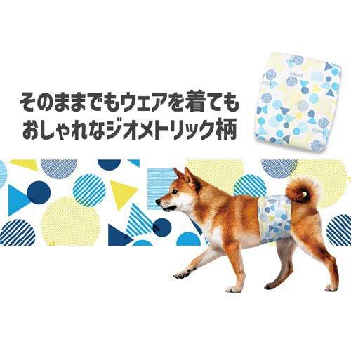 ピタフィット ペット用おむつ 腹巻タイプ 犬用 男の子 NPD-S72 ( 72枚入×6セット )_12