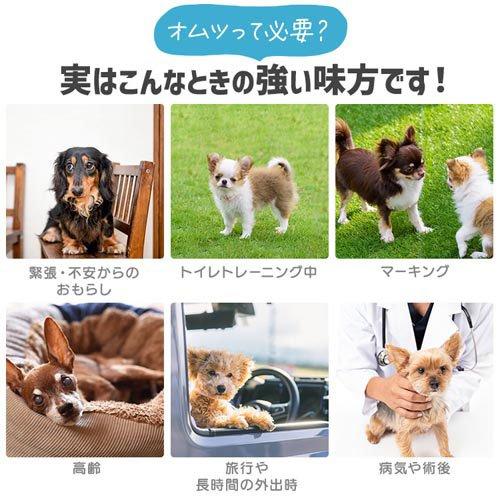 ピタフィット ペット用おむつ 腹巻タイプ 犬用 男の子 NPD-S72 ( 72枚入×6セット )_3