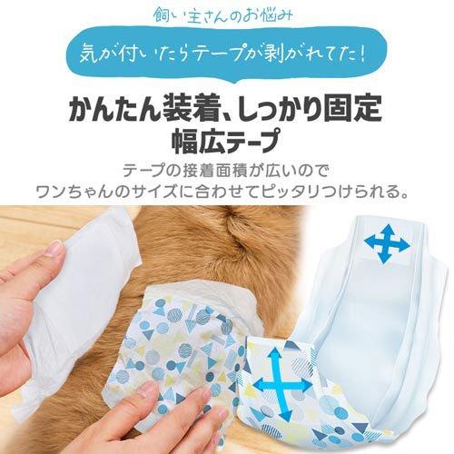 ピタフィット ペット用おむつ 腹巻タイプ 犬用 男の子 NPD-S72 ( 72枚入×6セット )_7