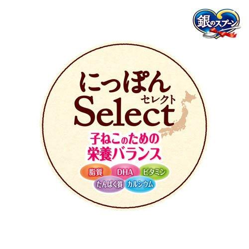 銀のスプーン おやつ にっぽんSelect とろリッチ 子ねこ用 総合栄養食