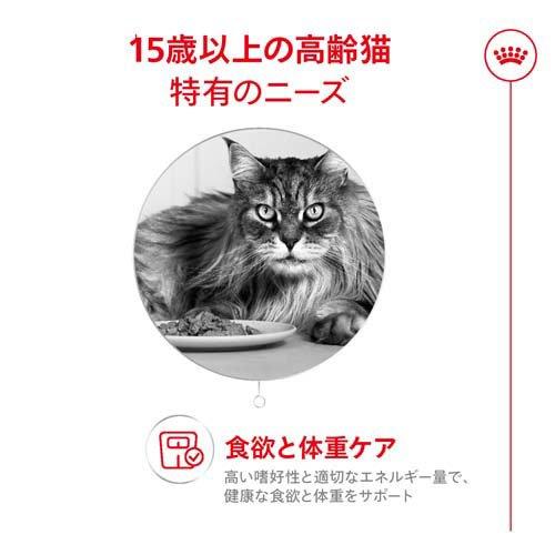 ①ロイヤルカナン 猫用 エイジングケア ライト(2kg×2袋 計4kg) 楽天