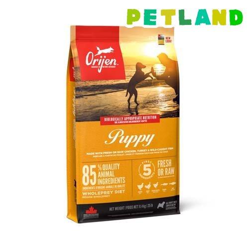 オリジン パピー【正規輸入品】 ( 11.4kg )/ アカナ : ペットランド