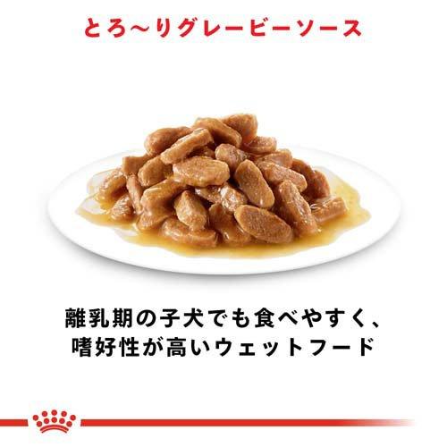 ロイヤルカナン サイズ ヘルス ニュートリション ウェット ミニ パピー