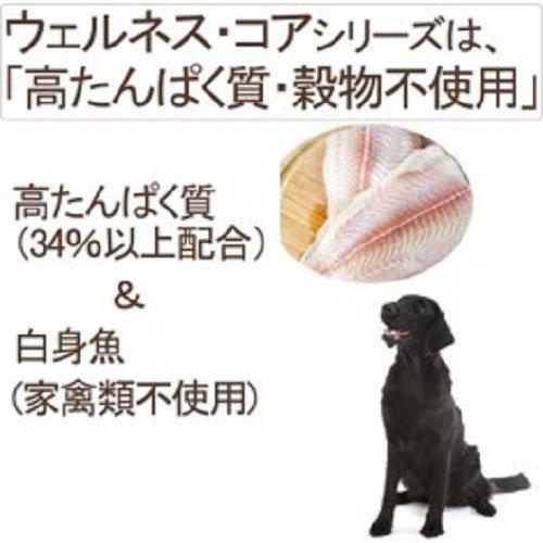 ウェルネス コア 成犬用 オーシャンフィッシュ ( 5.4kg )/ ウェルネス｜petland｜02