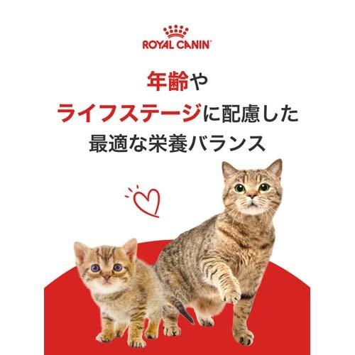 ロイヤルカナン FHN ウェット インドア 7+ グレービー ( 85g*48