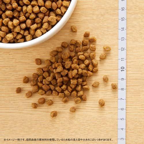 ニュートロ ナチュラルチョイス 超小型4kg以下 成犬8ヶ月 チキン玄米