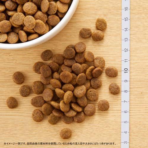 ニュートロ ワイルド レシピ 超小型犬〜小型犬用 成犬用 チキン