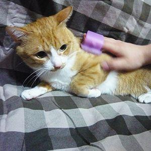 トレルンダ君 シリコンブラシ 猫用 短毛 ピンク ( 1コ入 ) : ペット