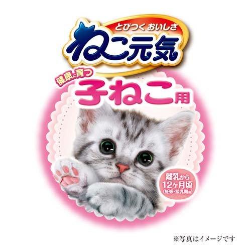 ねこ元気 健康に育つ子ねこ用(離乳から12ヶ月) お魚とお肉ミックス