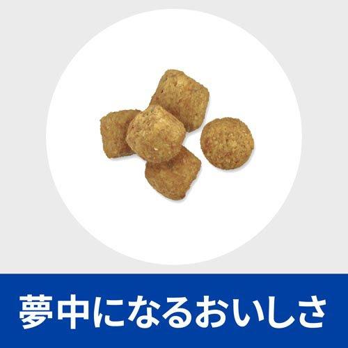 ヒルズ r/d 小粒 チキン 体重減量 犬用 特別療法食 ドッグフード