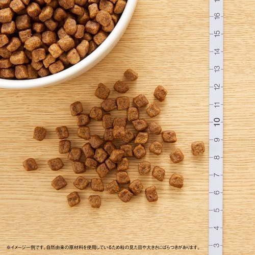 ニュートロ ナチュラルチョイス 子犬 妊娠授乳 超小型-中型チキン玄米