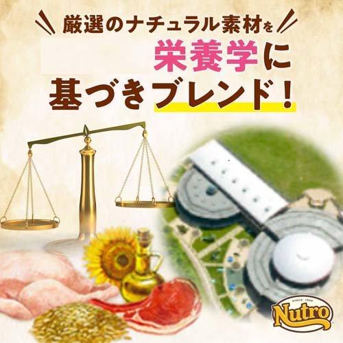 ニュートロ ナチュラルチョイス 避妊去勢 超小型〜小型 成犬 チキン