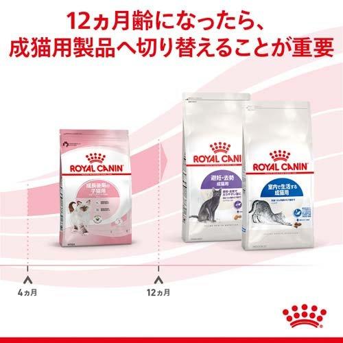 ロイヤルカナン（ROYAL CANIN） フィーライン ヘルス ニュートリション
