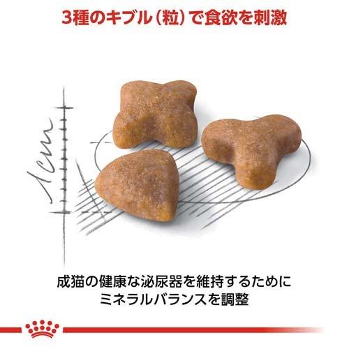 ロイヤルカナン フィーラインヘルスニュートリション センシブル ( 400g )/ ロイヤルカナン(ROYAL CANIN) ( キャットフード )｜petland｜04