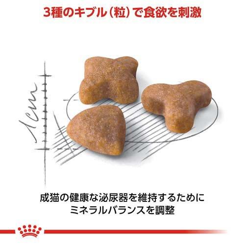 ロイヤルカナン フィーライン ヘルス ニュートリション センシブル ( 15kg )/ ロイヤルカナン(ROYAL CANIN) ( キャットフード )_3