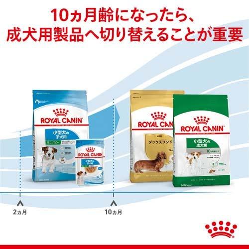 ロイヤルカナン（ROYAL CANIN） サイズ ヘルス ニュートリション ミニ 