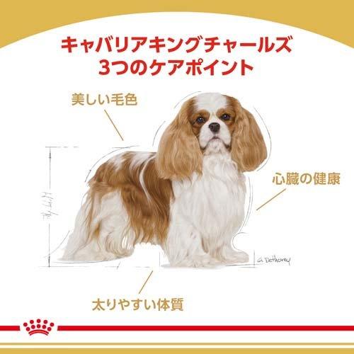 ロイヤルカナン ブリードヘルスニュートリション キャバリア 成犬用 ( 3Kg )/ ロイヤルカナン(ROYAL CANIN) ( ドッグフード )｜petland｜02