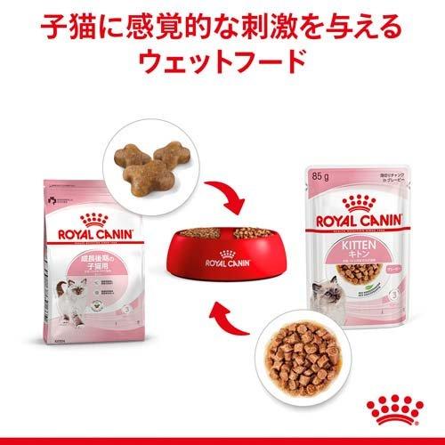 ロイヤルカナン ウエットフード 36缶セット CANIN 消化器サポート