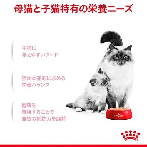 ロイヤルカナン FHN-WET マザー＆ベビーキャット ( 100g*24コセット )/ ロイヤルカナン(ROYAL CANIN) ( キャットフード )｜petland｜03