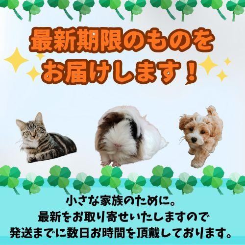 【売上の一部が保護犬へ】A.P.D.C. 猫用プロフェッショナル スタンダードケアシャンプー 2L ねこ ネコトリミング キャットシャンプー_1
