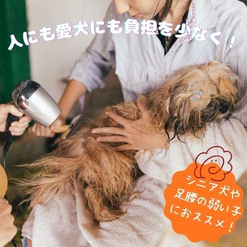 売上の一部が保護犬へ】リラたっち トリマータイプ 3サイズ(ロー120