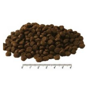 フィッシュ4ドッグ スーペリア アダルト 400g ドッグフード ドライフード｜petlifepotter｜02