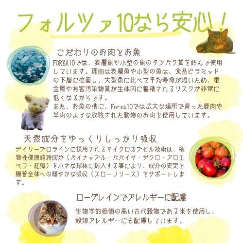 【2袋セット】フォルツァ10 DOG デイリープロ パピー 3.6kg×2袋 犬用 ドッグフード ドライ 総合栄養食 低アレルギー食 小粒フィッシュ ローグレイン