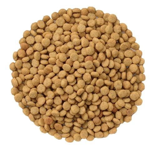 ナチュラルハーベスト（NATURAL harvest） キドニア 1.1kg×6袋 腎臓