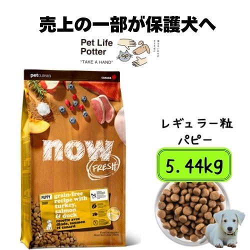 NOW FRESH 【正規品】 ナウフレッシュ グレインフリー パピー 5.44kg