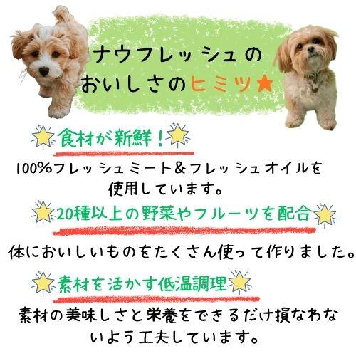 【正規品】ナウフレッシュ グレインフリー シニア＆ウェイトマネジメント 5.44kg ドッグフード ドライ 体重管理 ダイエット 中粒 大粒 成犬_2