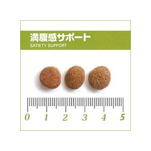 ロイヤルカナン 猫用 満腹感サポート 3 5kg ドライフード 療法食 Rccf013 3 ペットライフポッターヤフー店 通販 Yahoo ショッピング