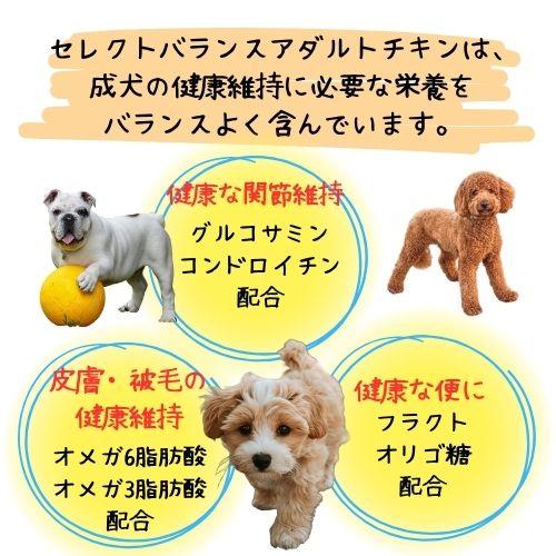 SELECT BALANCE 【おやつおまけ付！】セレクトバランス アダルト