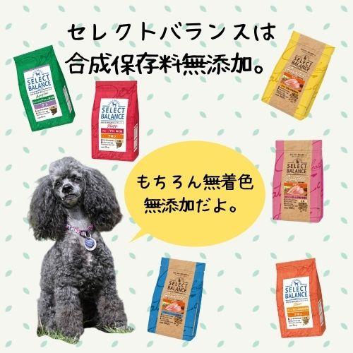 SELECT BALANCE 【おやつおまけ付！】セレクトバランス アダルト