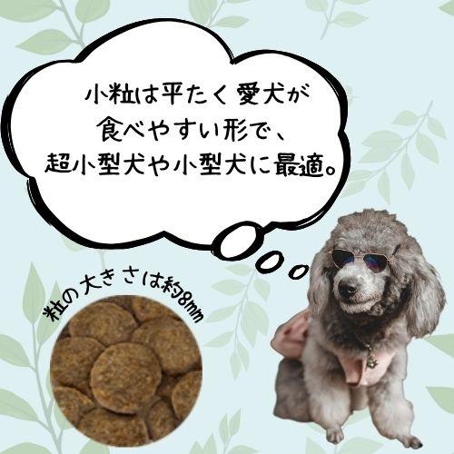 SELECT BALANCE 【おやつおまけ付！】セレクトバランス アダルト