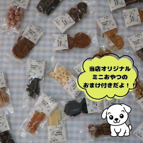 SELECT BALANCE 【おやつおまけ付！】セレクトバランス アダルト