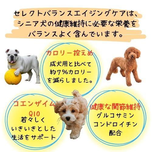 SELECT BALANCE 【おやつおまけ付！】セレクトバランス エイジングケア