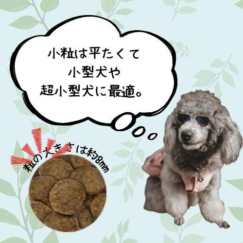 SELECT BALANCE 【おやつおまけ付！】セレクトバランス エイジングケア