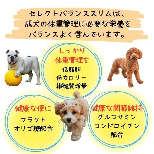 SELECT BALANCE 【おやつおまけ付！】セレクトバランス スリム チキン