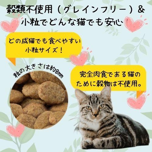 SELECT BALANCE セレクトバランス グレインフリー 猫スリム チキン (成