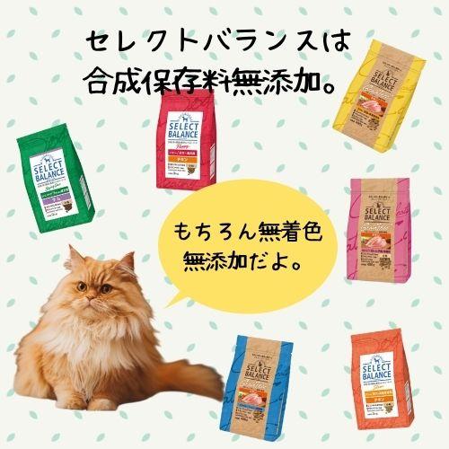 SELECT BALANCE セレクトバランス グレインフリー 猫スリム チキン (成
