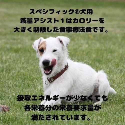 【3袋セット】スペシフィック 犬用 減量アシスト1 CRD-1 1.6kg ドライフード 療法食ドッグフード 肥満 減量 低カロリー 糖尿病 体重管理