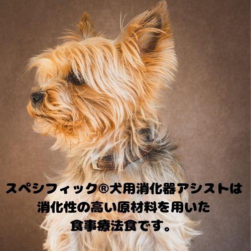 スペシフィック 【売上の一部が保護犬へ】スペシフィック 犬用 消化器