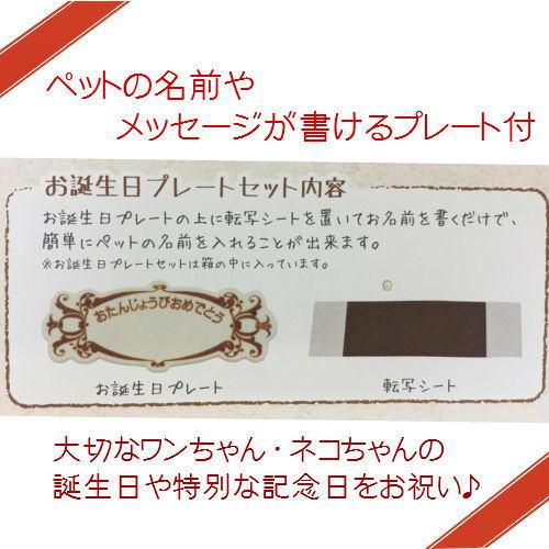 いぬ用お誕生日ケーキ ストロベリーケーキ 低カロリー 小麦粉アレルギーのワンちゃんも安心の上新粉使用 イヌ 犬用バースデーケーキ Kake1 ペットマニア 通販 Yahoo ショッピング