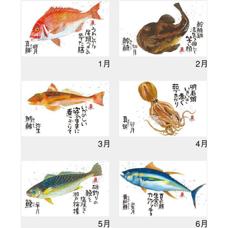 新日本カレンダー 水墨作家・岡本肇作品 魚彩時記 四季折々の魚の世界