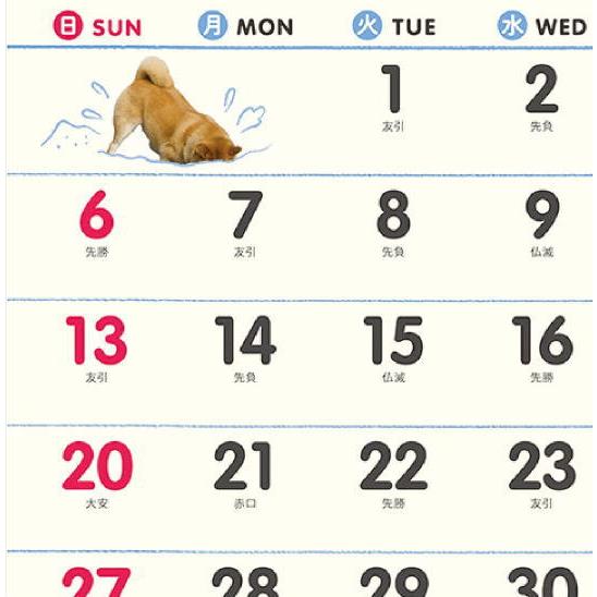 柴犬まるとおさんぽカレンダー かわいい 犬カレンダー 壁掛け 12ヶ月 カレンダー 23 令和5年 カレンダー ペット どうぶつ アニマル Nk 35 ペットマニア 通販 Yahoo ショッピング