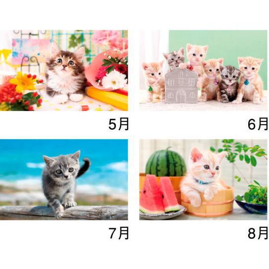 サンキュー キャット かわいい 子猫 コンパクトサイズ 壁掛け カレンダー2022 令和4年 猫カレンダー アメショー マンチカン ロシアンブルー Nk 455 ペットマニア 通販 Yahoo ショッピング