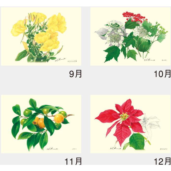 花の絵 花柄 ボタニカルアート 絵画 ガーデニング 庭 花 フラワー 花の絵 花柄 ボタニカルアート 絵画 ガーデニング 庭 花