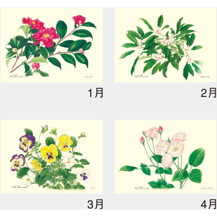 カレンダー 2026 花 ボタニカルアート 2026カレンダー 英国王立園芸