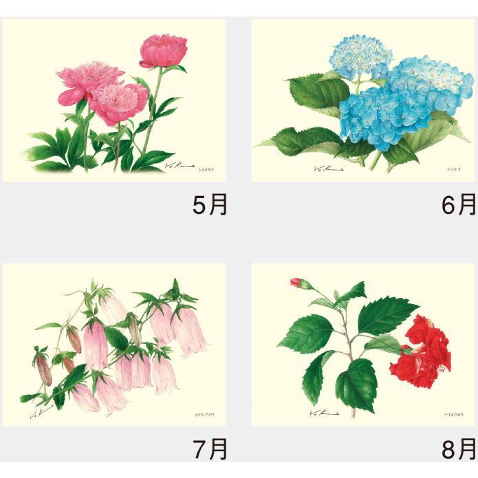 カレンダー 2026 花 ボタニカルアート 2026カレンダー 英国王立園芸